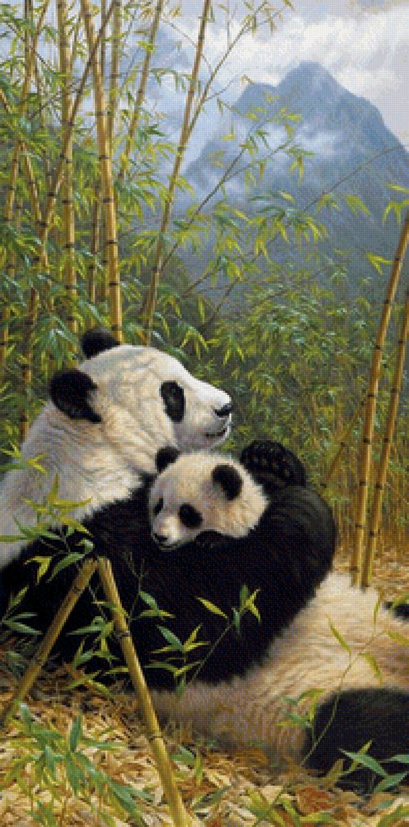 Мир животных - бамбук, семья, природа, арт, панда, мама - предпросмотр