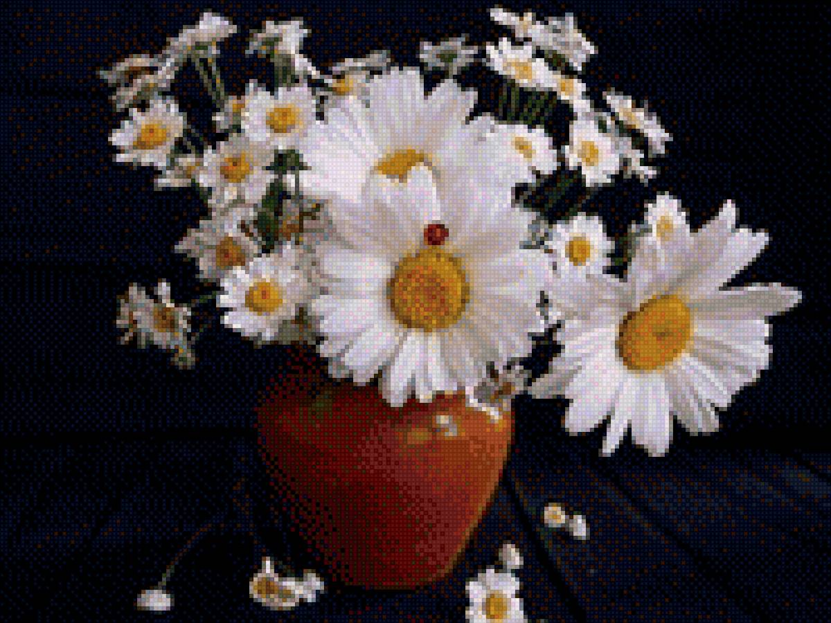 рамашки1 - цветы, ромашки - предпросмотр