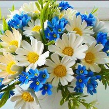 Схема вышивки «букет с ромашками»