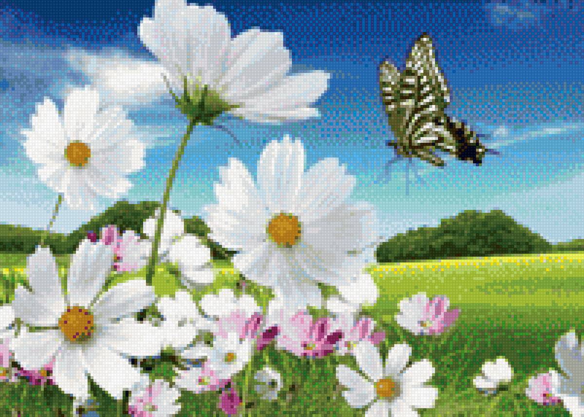 ромашки2 - ромашки, цветы, поле, бабочки - предпросмотр