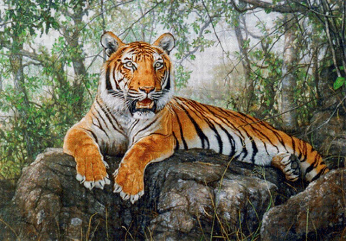 №1677938 - дикие животные - предпросмотр