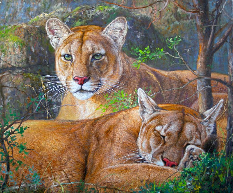 №1677942 - дикие животные - оригинал