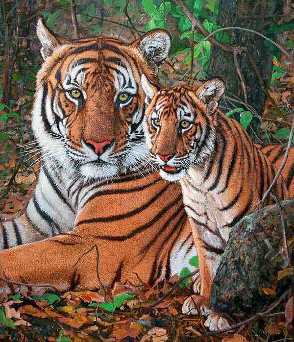 №1677943 - дикие животные - оригинал