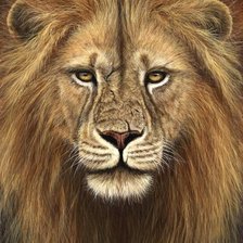 Схема вышивки «лев»