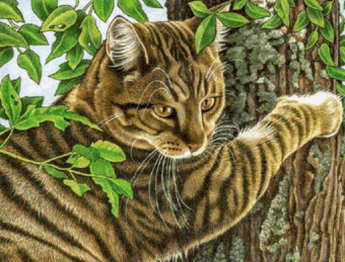 №1679859 - предпросмотр