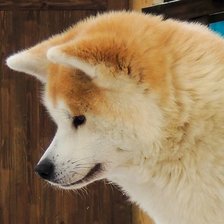 Megapolis Style Eikoume