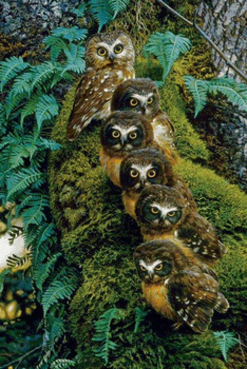 233 - предпросмотр