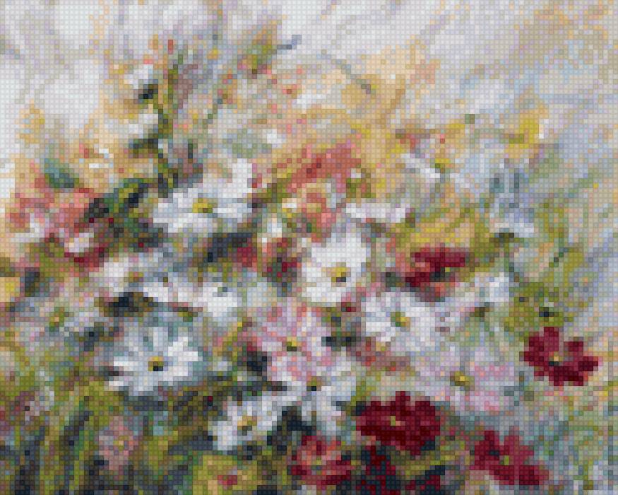 Космея - космея цветы - предпросмотр