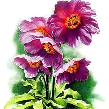 Схема вышивки «№1680675»