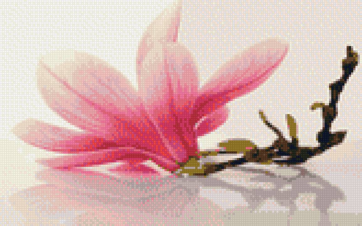 магнолия мини - мини, магнолия - предпросмотр