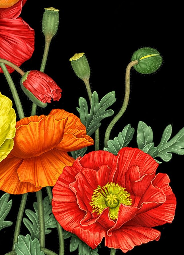 №1681298 - оригинал