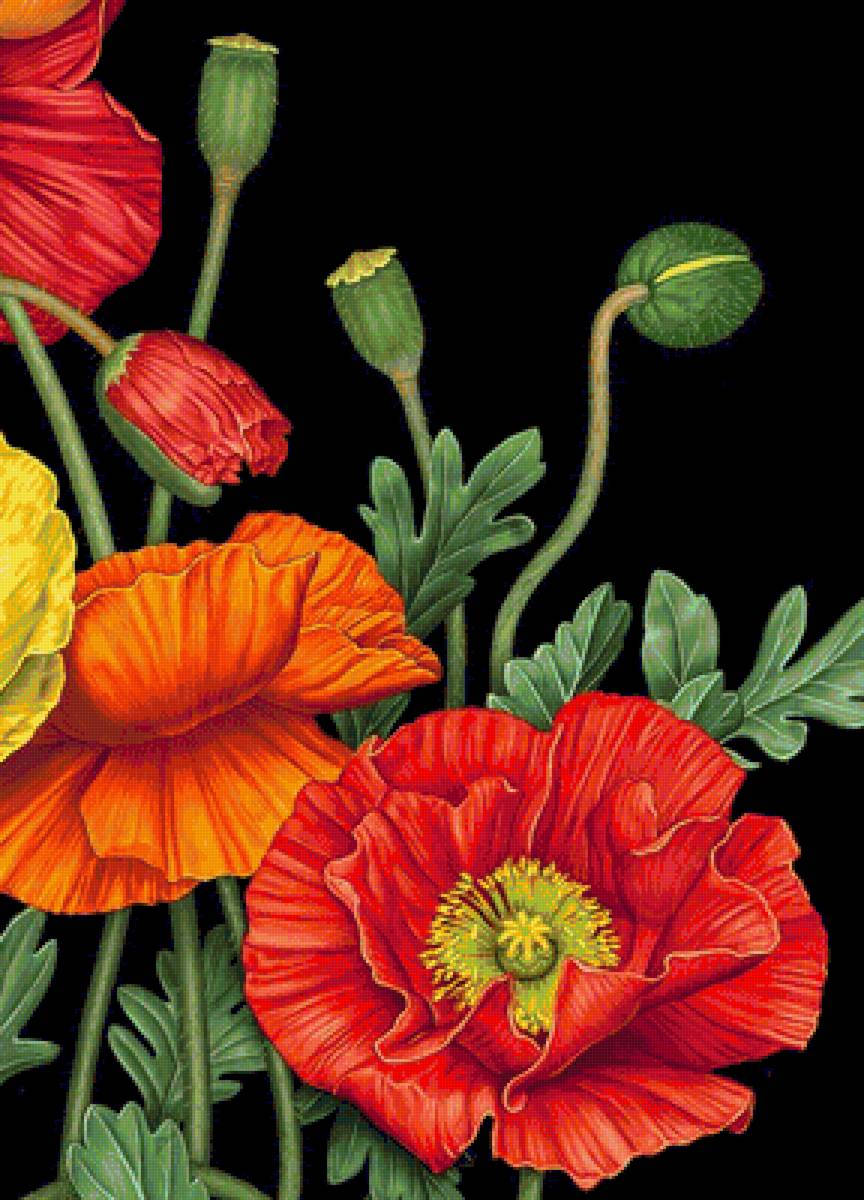 №1681298 - предпросмотр