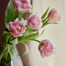 Схема вышивки «тюльпаны»