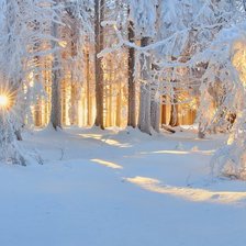 Схема вышивки «Солнце в зимнем лесу»