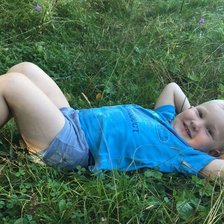 Схема вышивки «Лео»