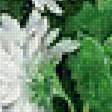 Предпросмотр схемы вышивки «Хризантемы» (№1681870)