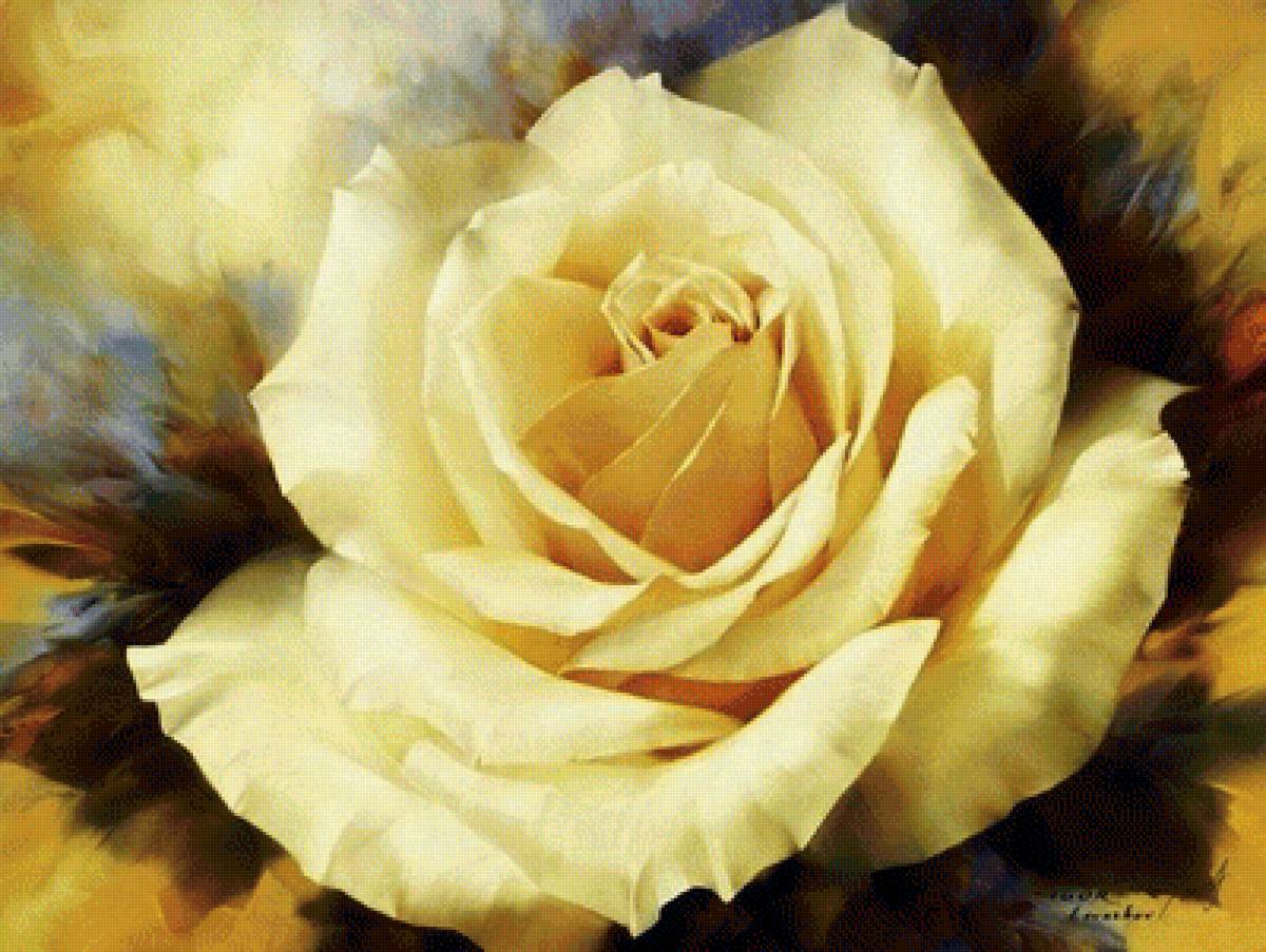 белая роза - цветы. акварель - предпросмотр