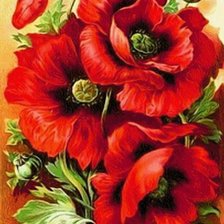 Схема вышивки «маки»