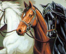 Схема вышивки «Лошади»