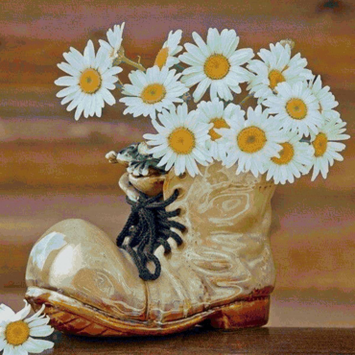 Ромашки в ботинке - цветы, ботинок, ромашки - предпросмотр