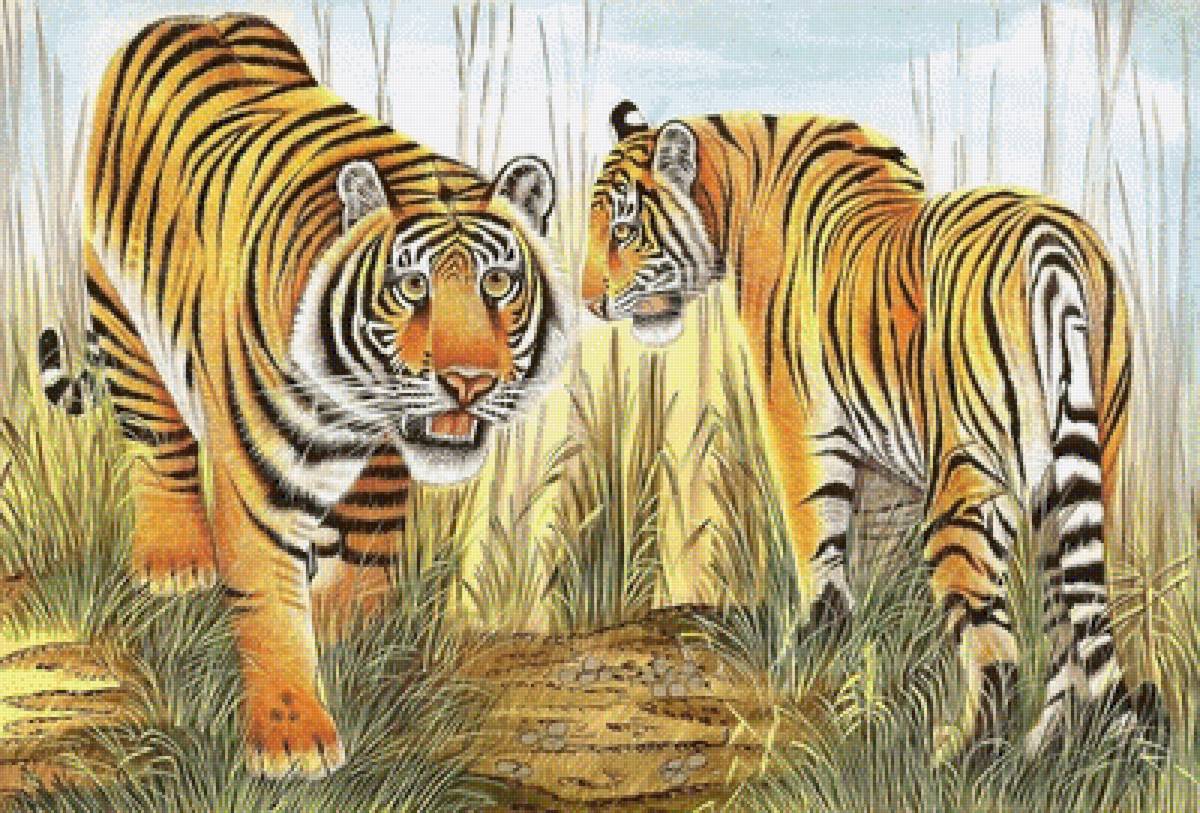 тгры - дикие животные - предпросмотр