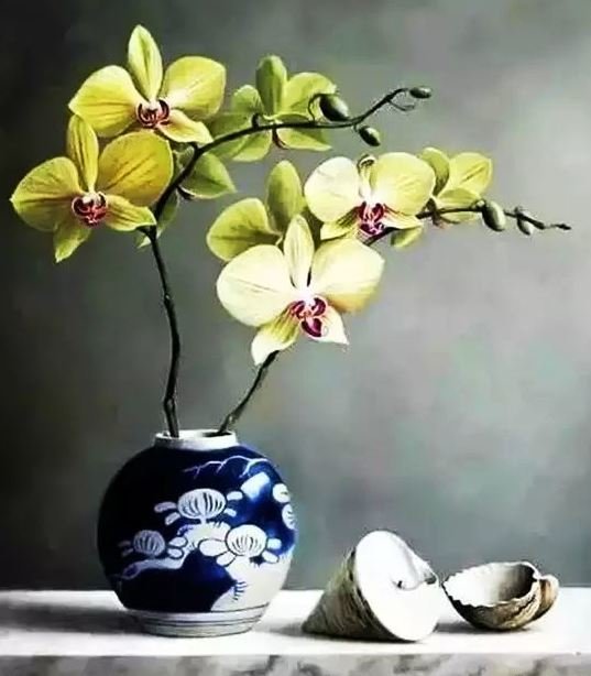 желтая орхидея - цветы - оригинал