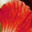 Предпросмотр схемы вышивки «цветочная композиция» (№1683103)