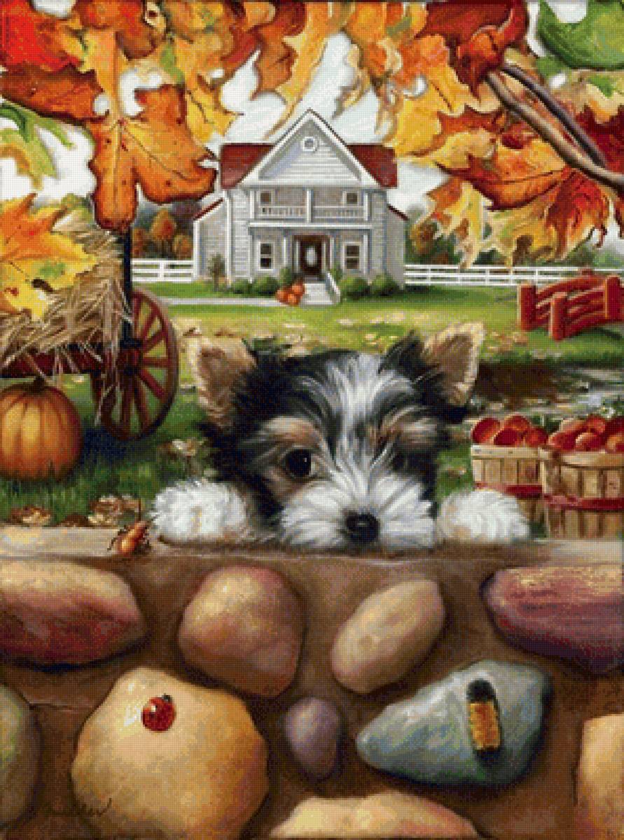 Мир животных - дом, сад, усадьба, осень, собака, природа, арт - предпросмотр