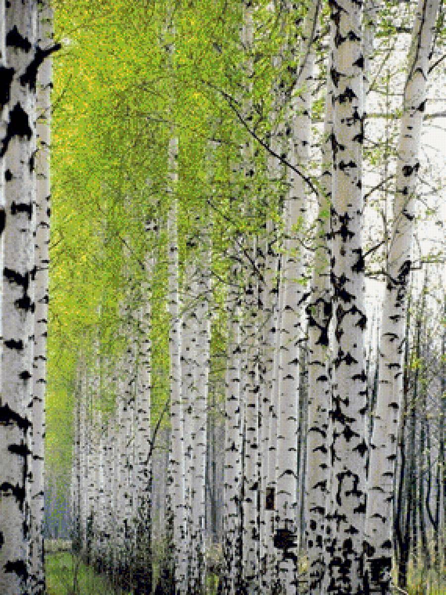 №1683335 - предпросмотр