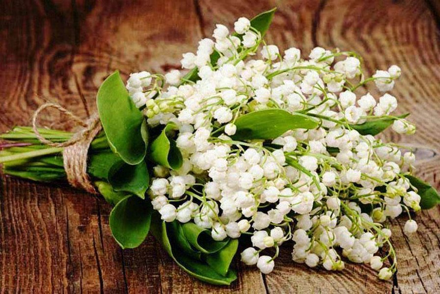 ландыши - цветы - оригинал