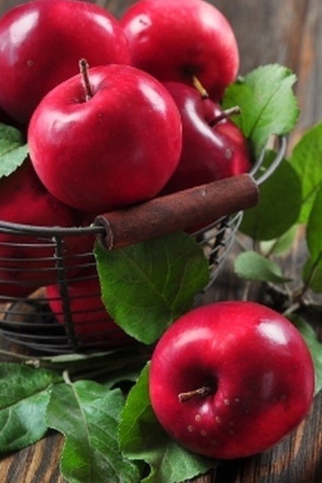 Яблоки - фрукты - оригинал