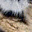 Предпросмотр схемы вышивки «265» (№1684445)