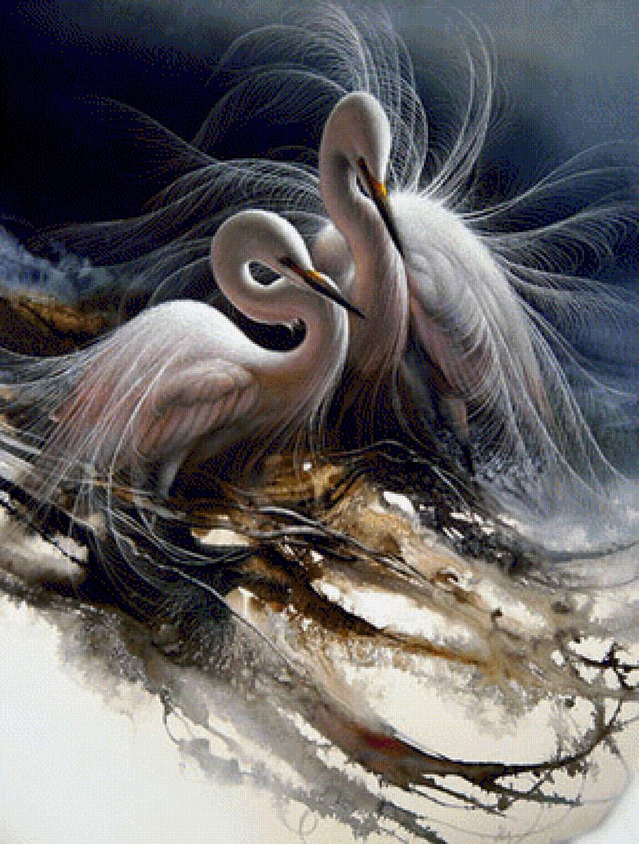 Цапли - птицы - предпросмотр