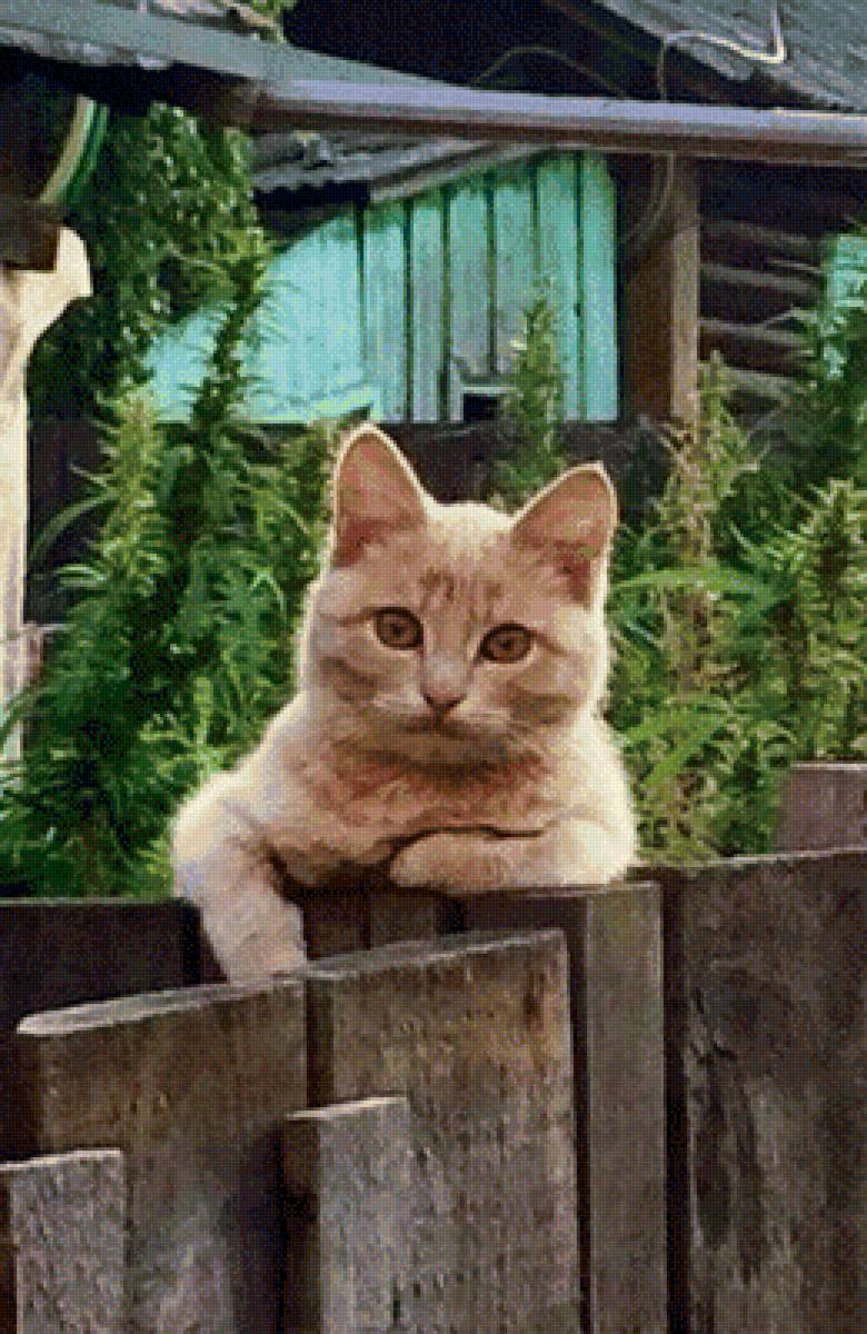 272 - предпросмотр