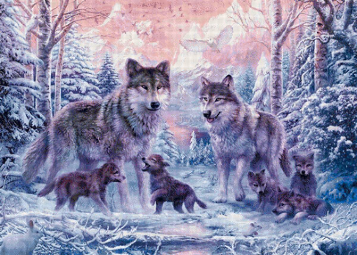 Семья волков - волки, семья - предпросмотр