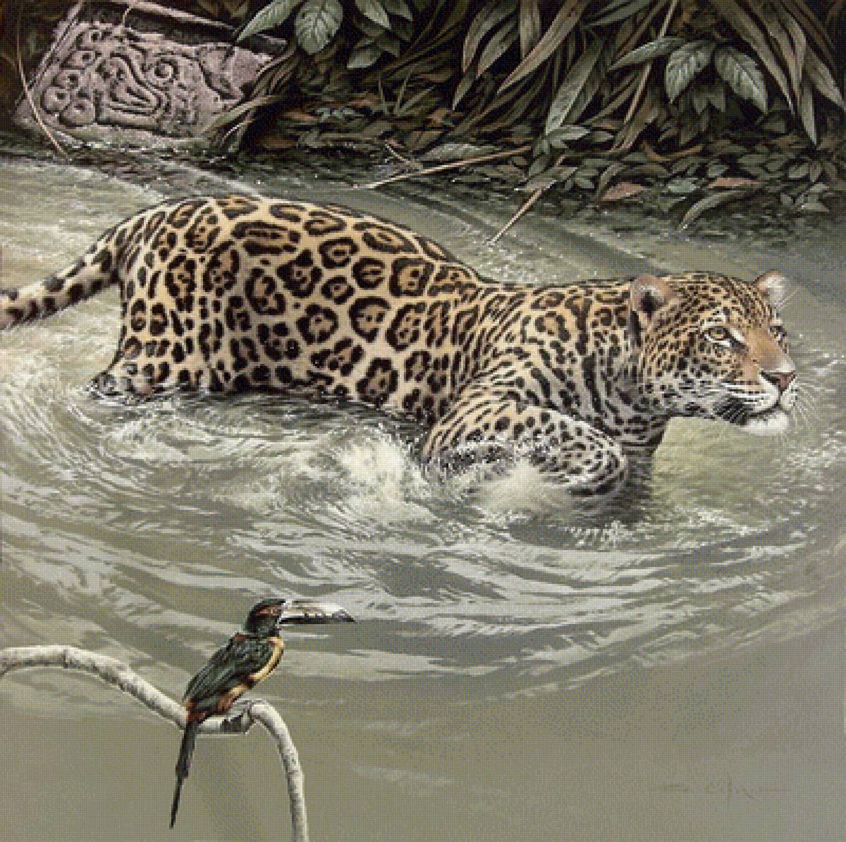 №1685905 - дикие животные - предпросмотр