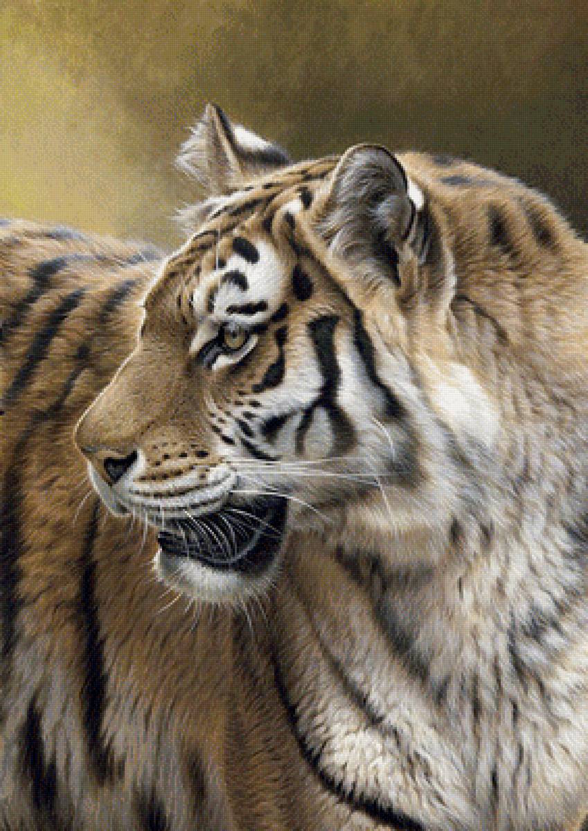 №1685912 - дикие животные - предпросмотр