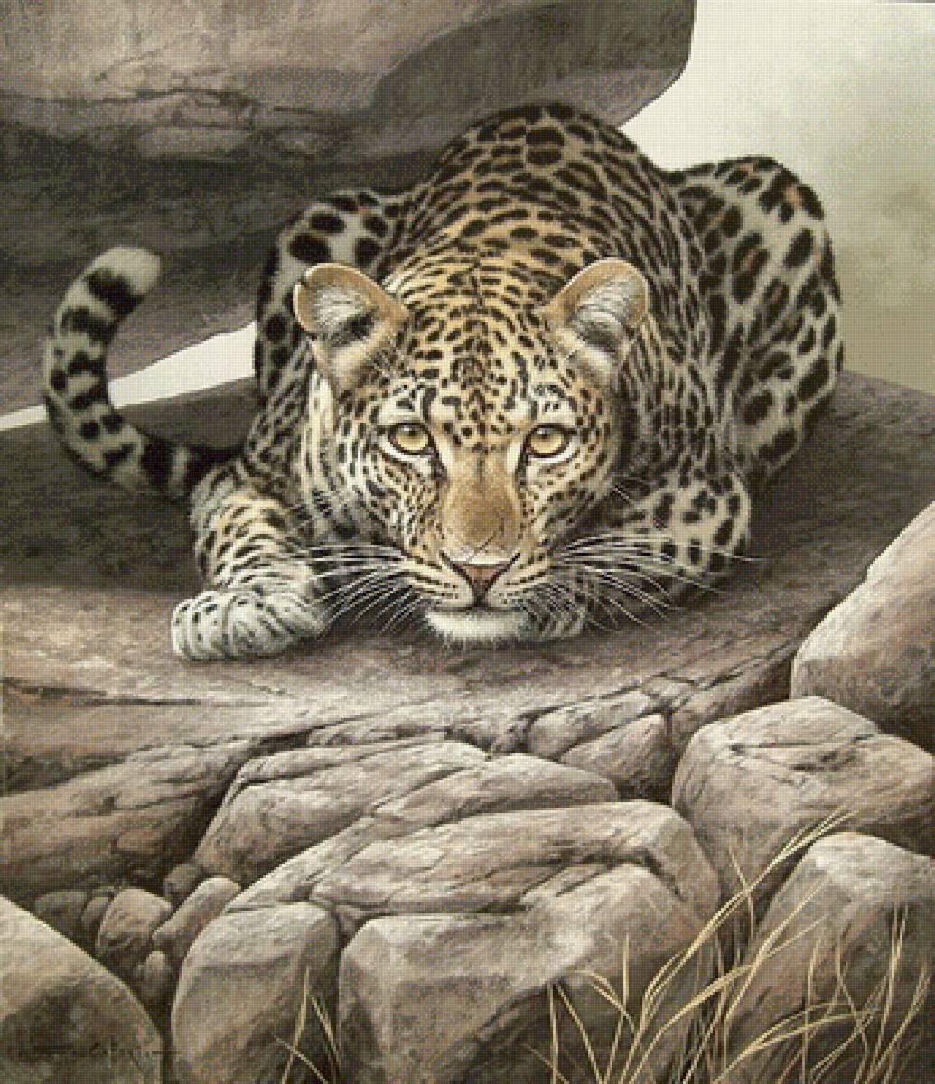 №1685925 - дикие животные - предпросмотр