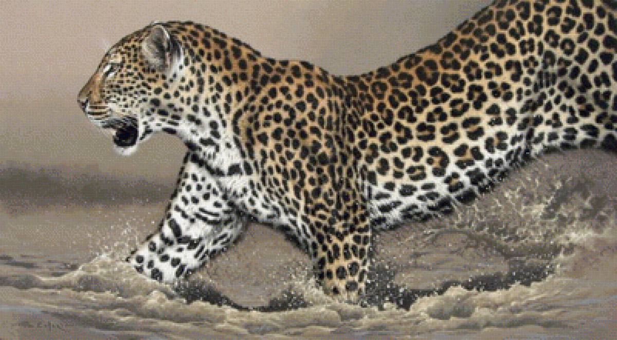 №1685928 - дикие животные - предпросмотр