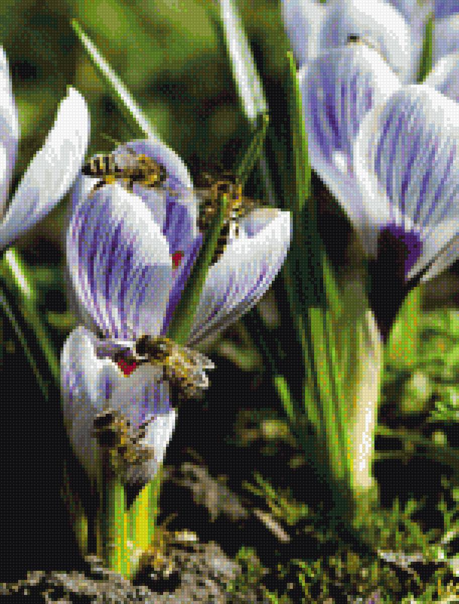 Весна пришла - пчела, весна, подснежник, цветок - предпросмотр