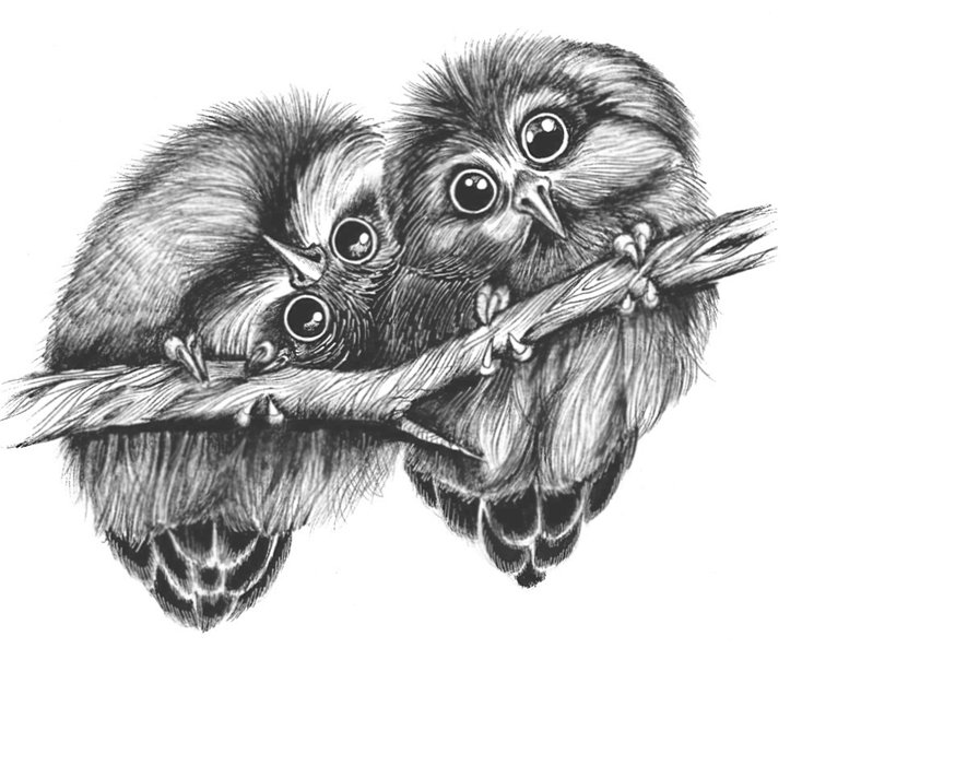 №1686280 - оригинал