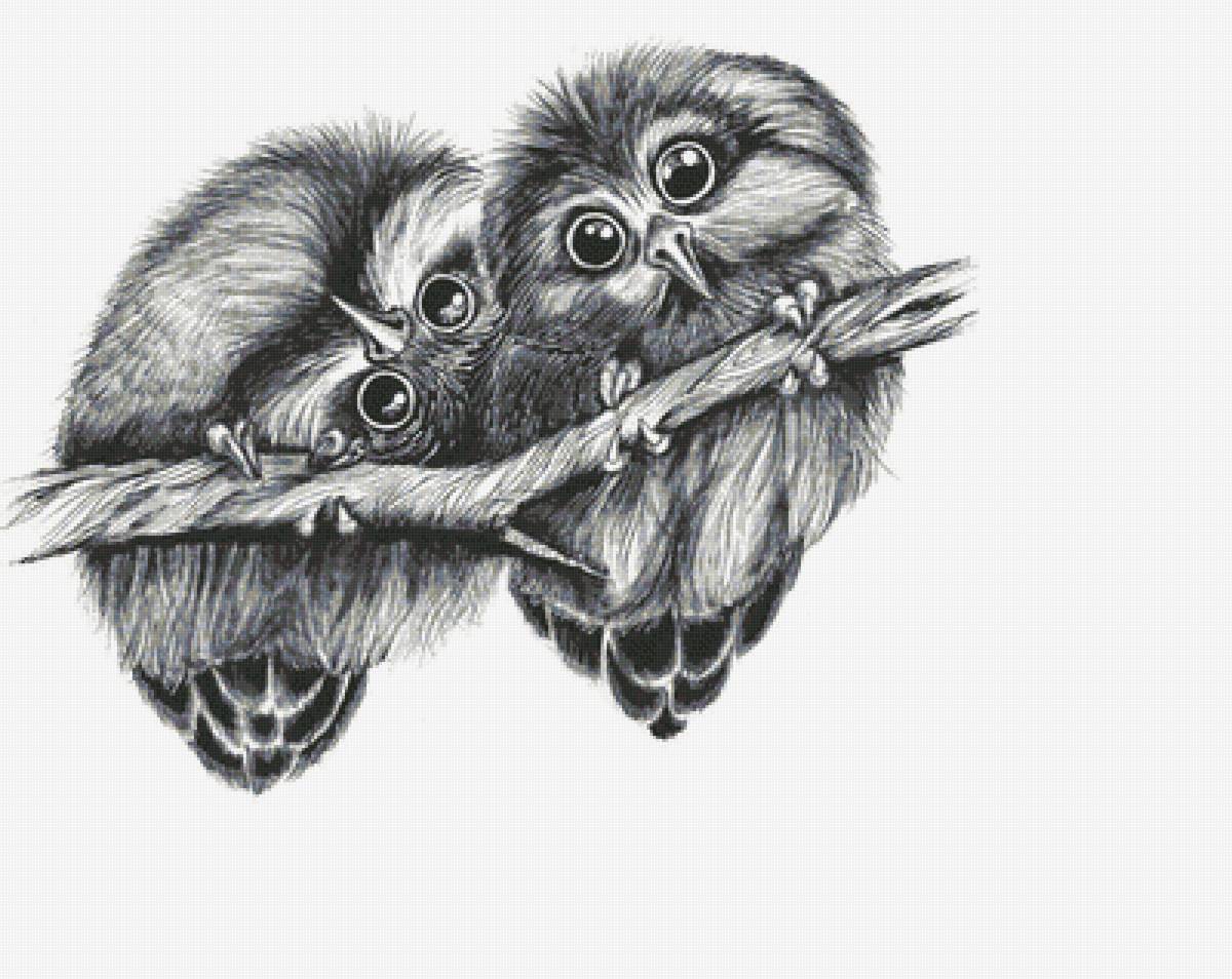 №1686280 - предпросмотр