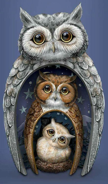 совы - совы - оригинал