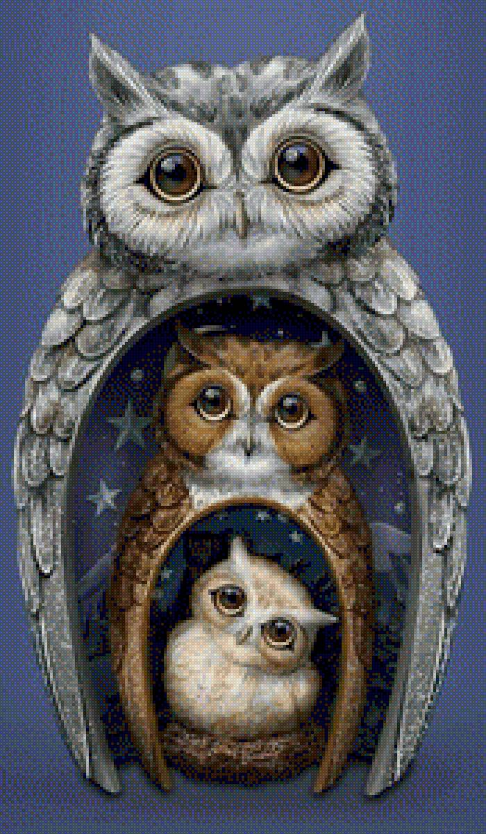 совы - совы - предпросмотр