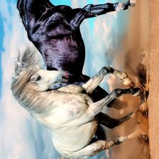 Схема вышивки «арабские скакуны»