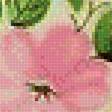 Предпросмотр схемы вышивки «малина в чашке» (№1687562)
