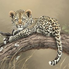 Схема вышивки «№1687705»