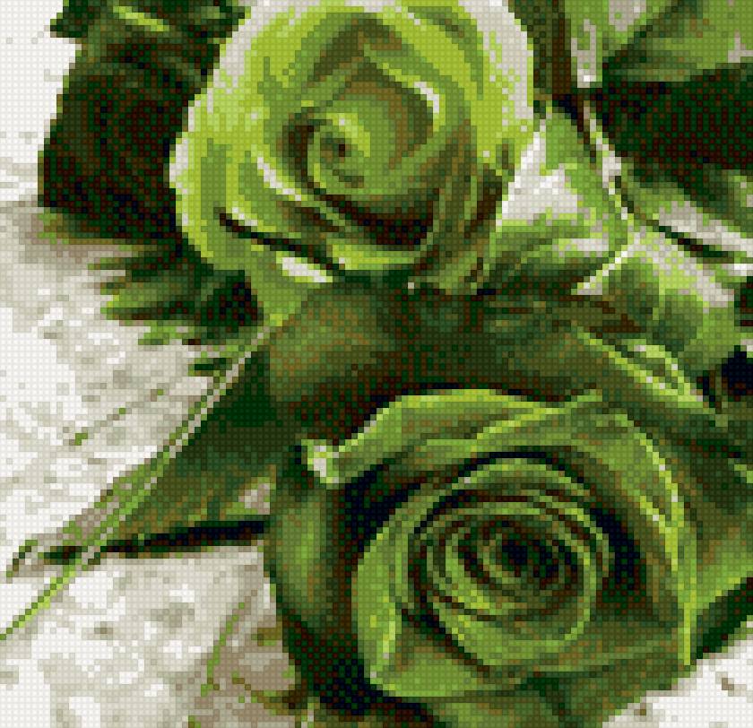 букет зеленых роз - зеленый - предпросмотр
