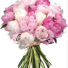 Схема вышивки «пионы»