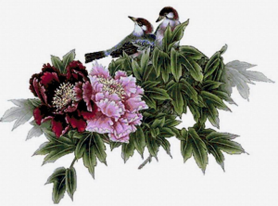 Райские птицы - вышивка крестом, птицы - оригинал